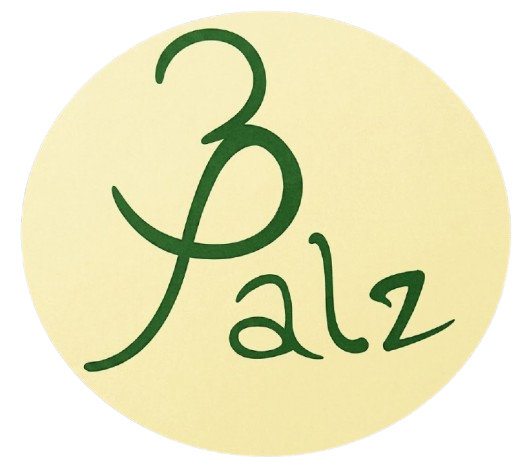 3palz Logo