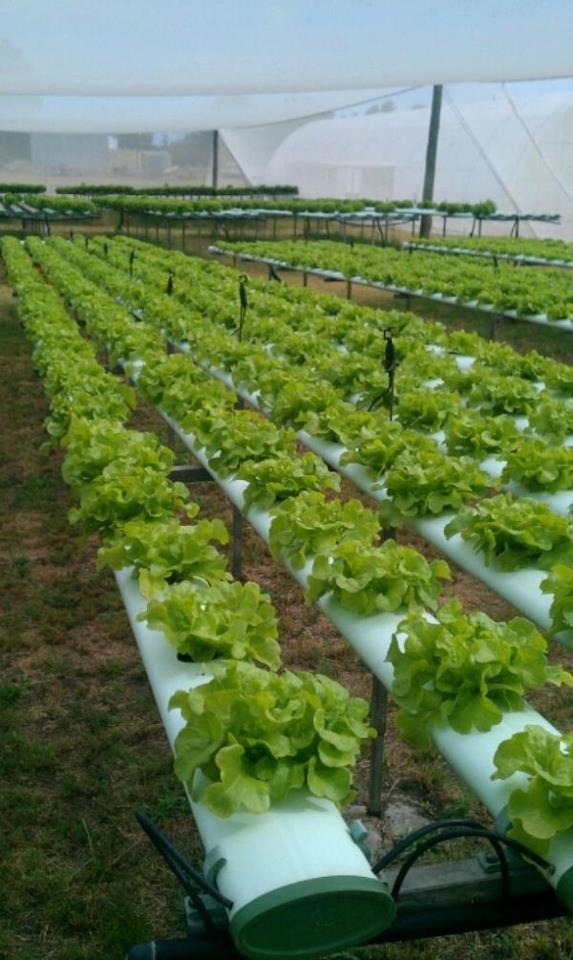 Advanced indoor hydroponic research facility